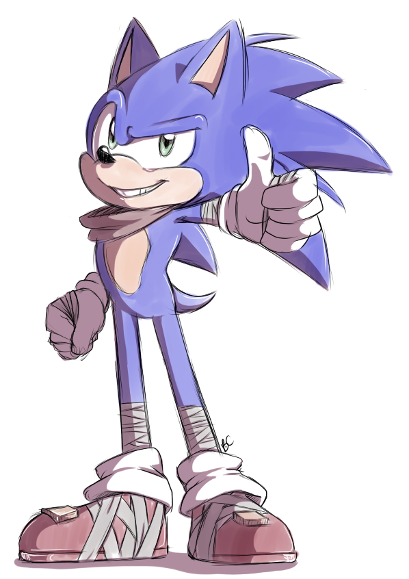 Sonic Boom: Sonic