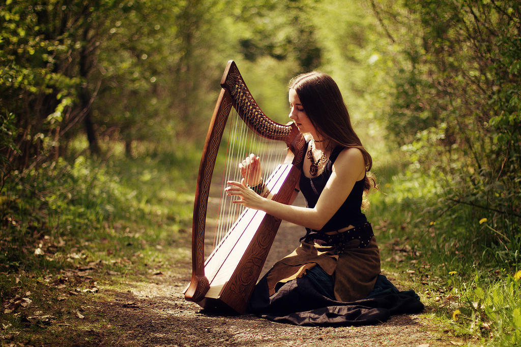 Music Of The Forest