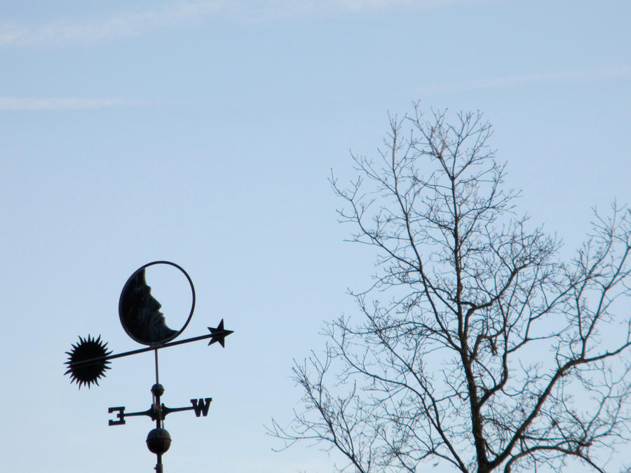 show the way by Airthir on DeviantArt