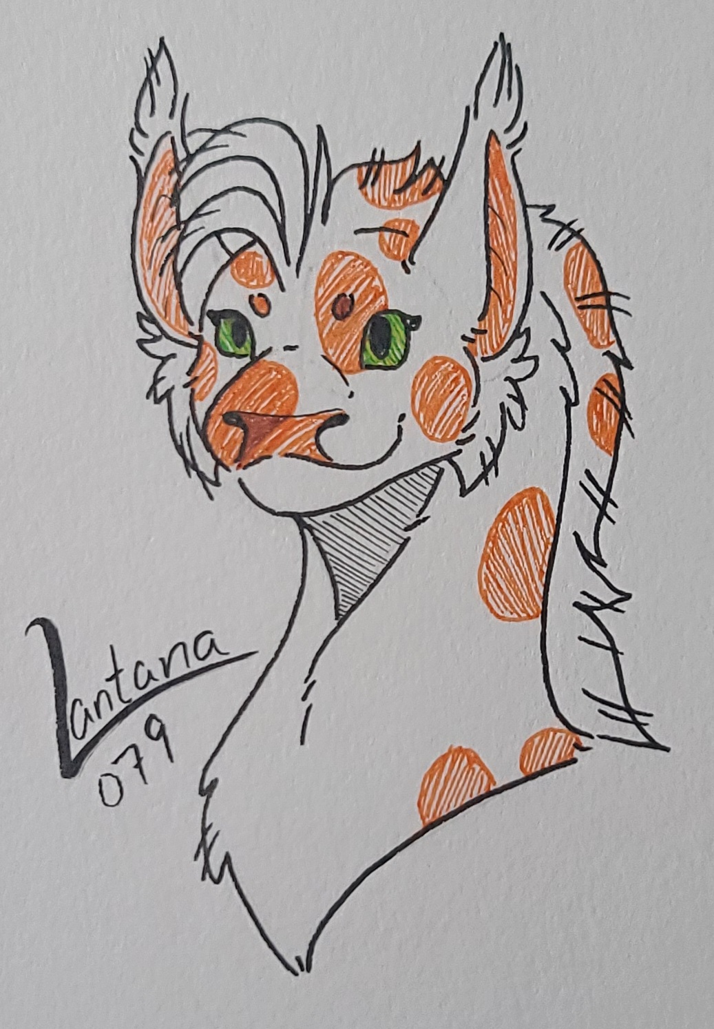 Lantana's Tracker