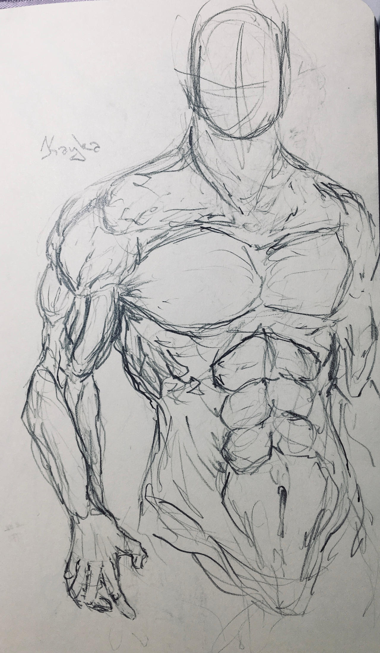 muscle study sketch by karolinahanzal on DeviantArt