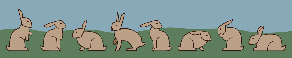 Bunnies