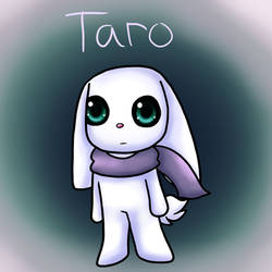 Profile: Taro