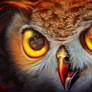 Owl red nebula