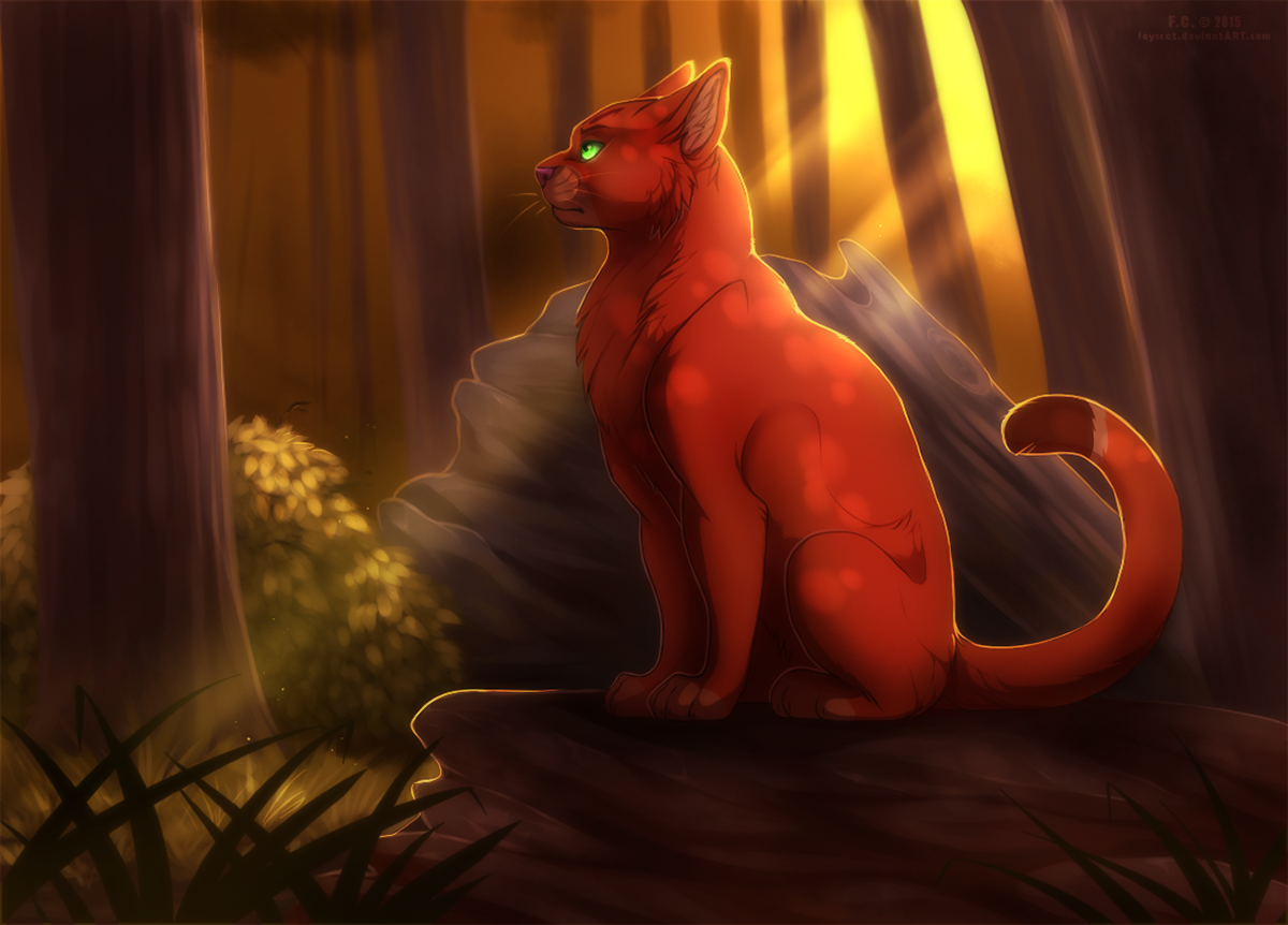 Warrior Cats : Firestar