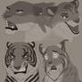 Sketch : Felines Headshots