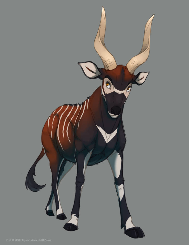 Deviantart Bongo Bongo Sketch by FeysCat on DeviantArt
