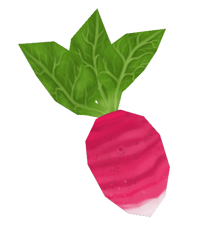 Radish