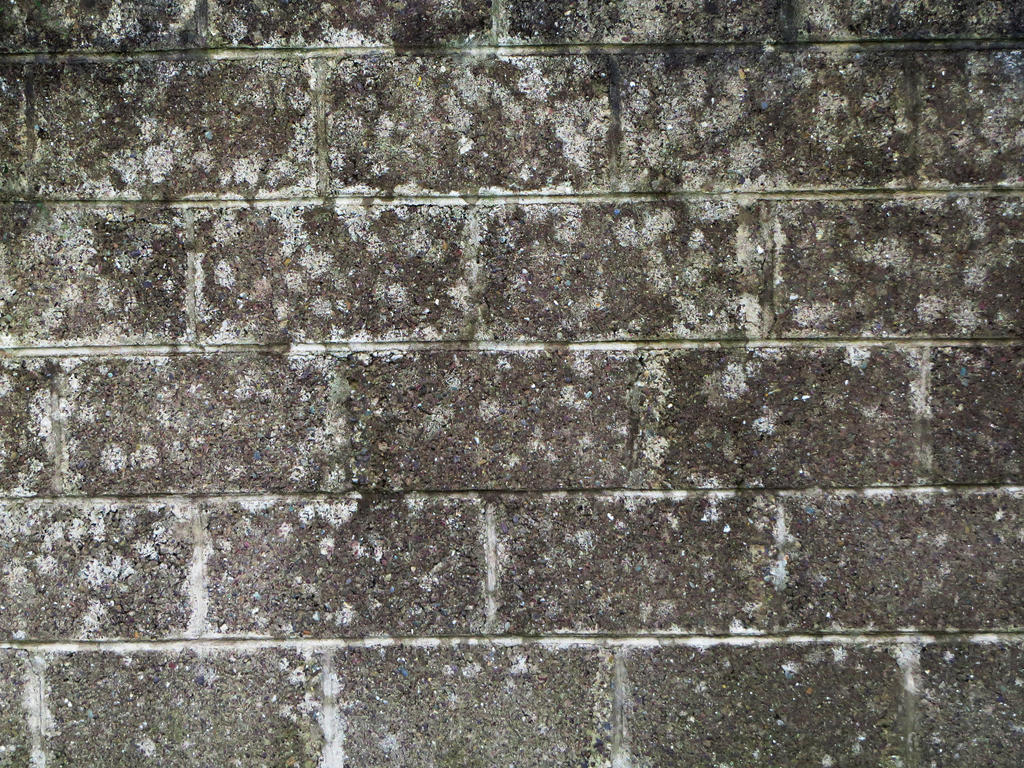 Wall Texture