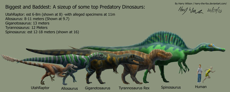 Predatory Dinosaur Size Chart