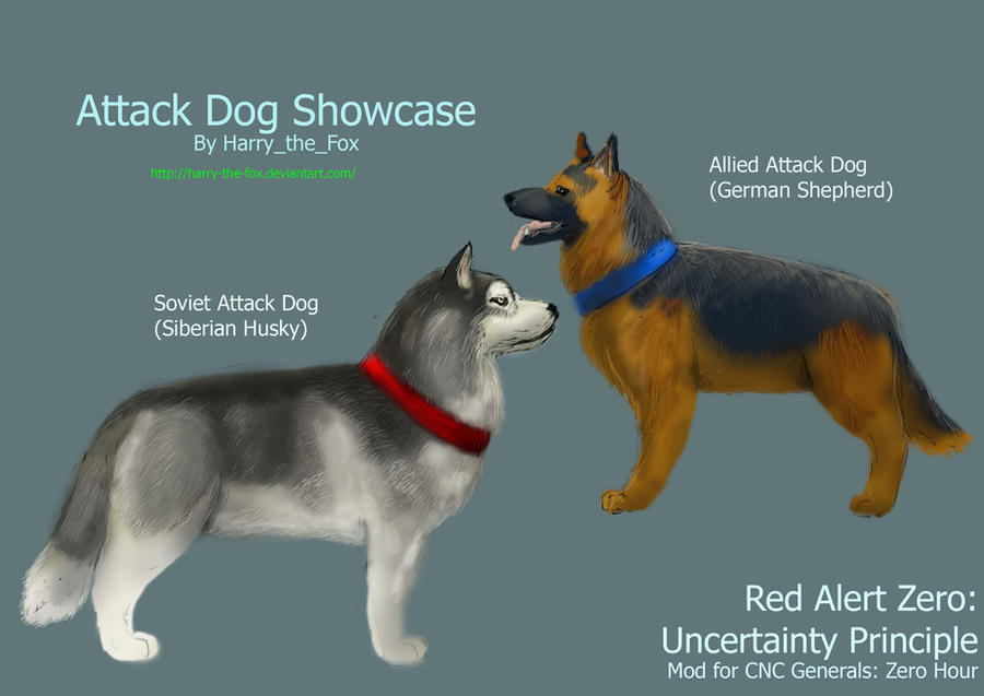 RA2 Mod- Attack Dogs