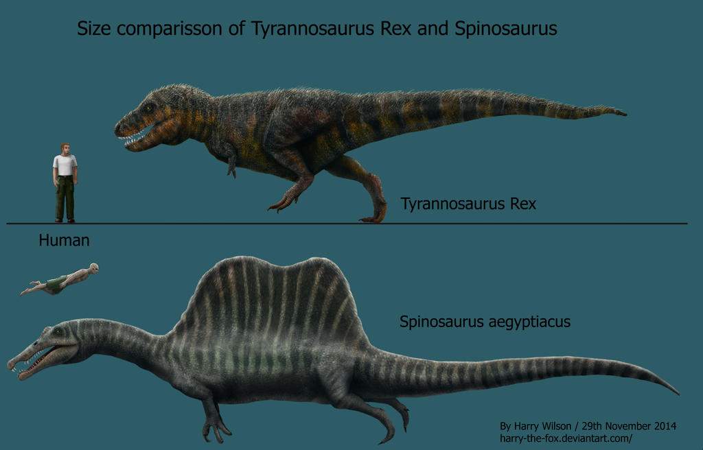 Spinosaurus And T Rex Size Comparison By Harry the Fox On DeviantArt spinosaurus-and-t-rex-size-comparison-by-harry-the-fox-on-deviantart