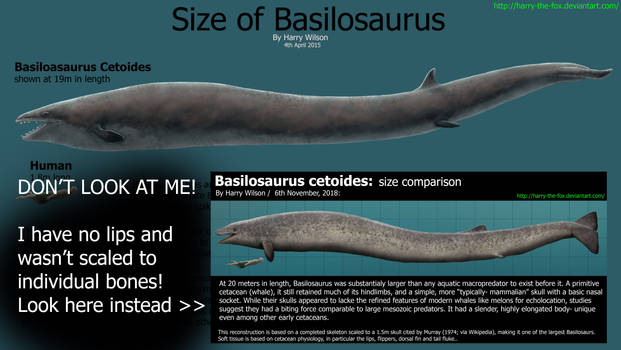 Basilosaurus- Size Comparison