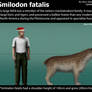 Smilodon Fatalis Size