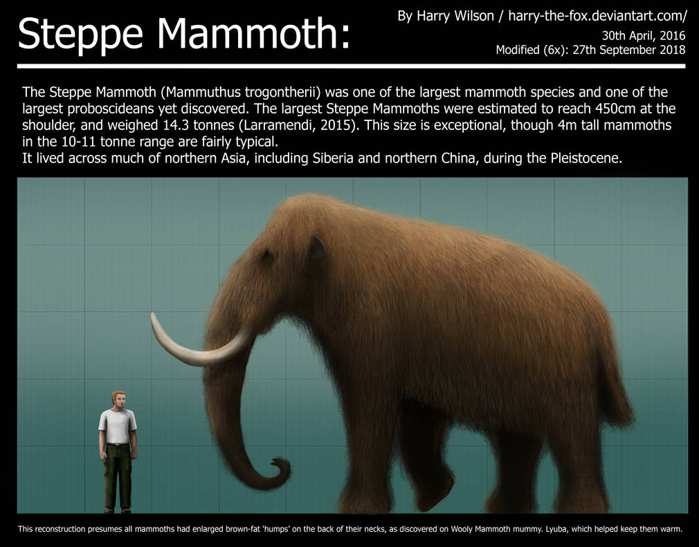 Steppe Mammoth Size Comparison by Harry-the-Fox on DeviantArt