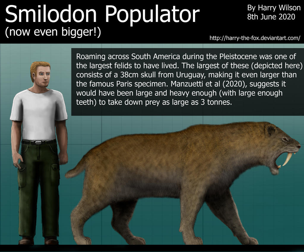 Beelemodon Size Smilodon POPULATOR size comparison. by Harry-the-Fox on DeviantArt
