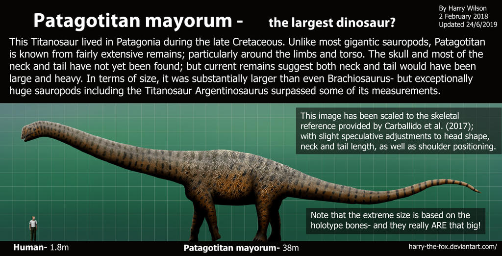Patagotitan Size- The Biggest Dinosaur Ever? by Harry-the-Fox on DeviantArt
