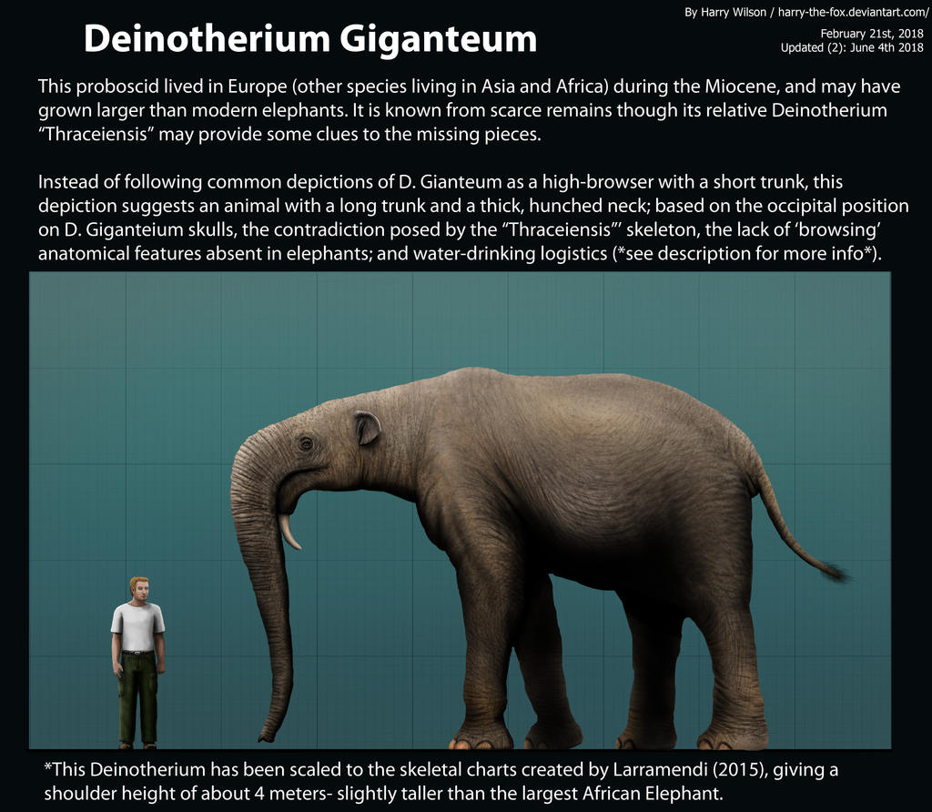 Deinotherium Giganteum Size by Harry-the-Fox on DeviantArt