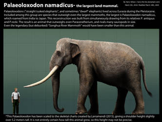 Explore the Best Palaeoloxodon Art | DeviantArt