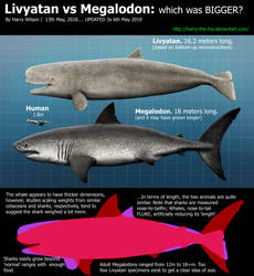 Livyatan Melvillei vs Megalodon by Harry-the-Fox