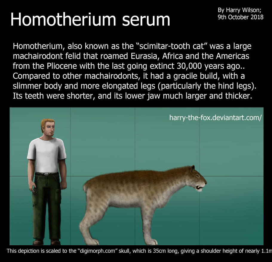 Homotherium serum size by HarrytheFox on DeviantArt
