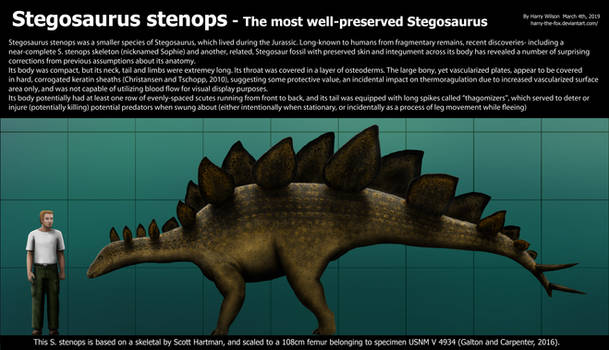 Stegosaurus stenops size