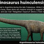 Argentinosaurus huinculensis Size
