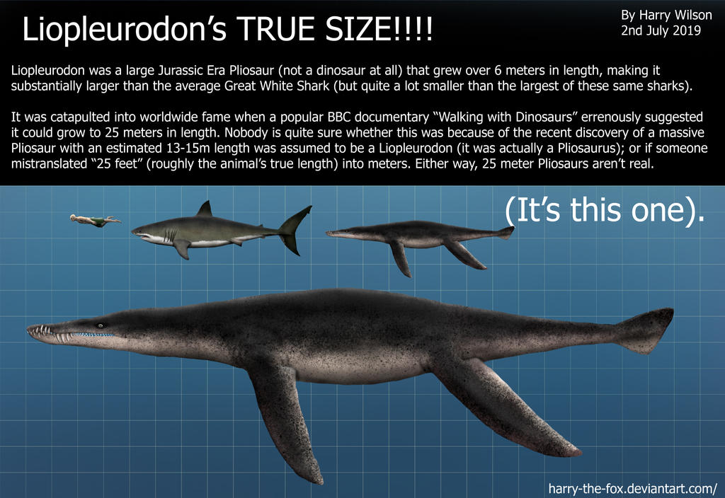 Liopleurodon Vs Tilossauro Mosasaurus Vs Liopleurodon | Dino