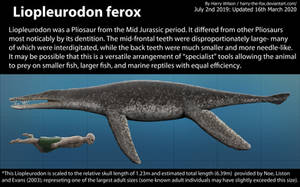 Liopleurodon Size