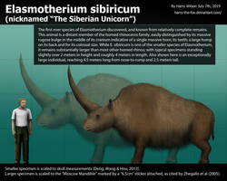 Elasmotherium sibiricum Size