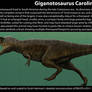 Giganotosaurus Size
