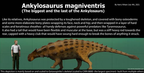 Ankylosaurus Size