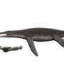 Liopleurodon ferox Size stash