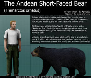 Andean Short Faced Bear Size