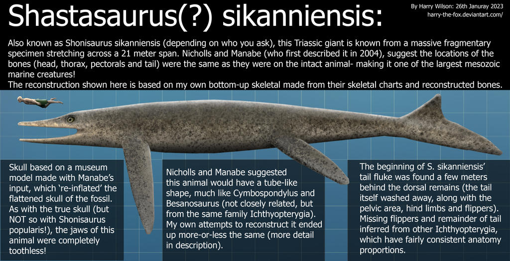 Shastasaurus sikanniensis size