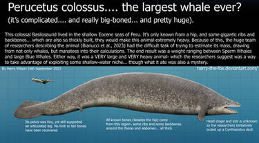 Perucetus colossus Size Chart