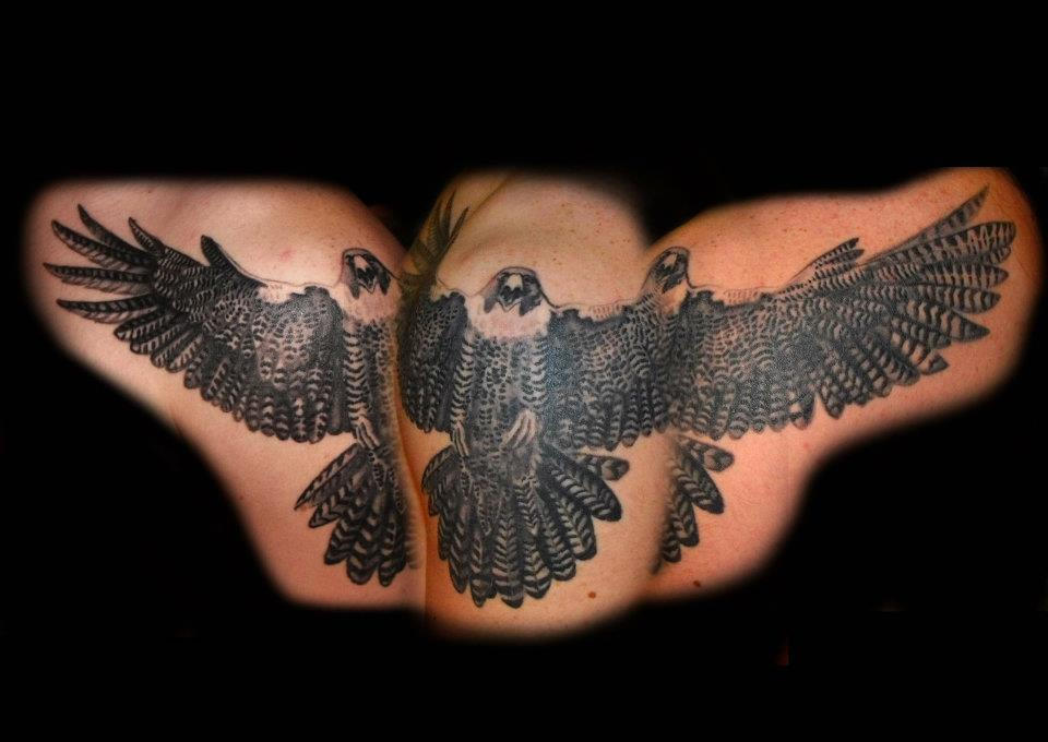 Falcon tattoo by dzsedi