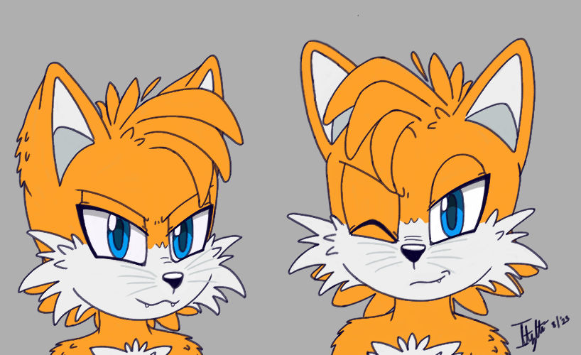 Tails - Headshot by ItztliOcelotl on DeviantArt