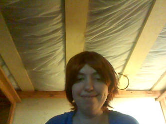 N. Italy Wig Test?