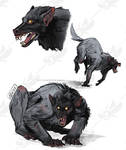 Grey-black werewolves