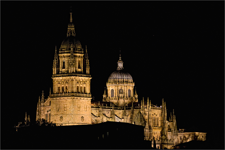 Cathedral of Salamanca