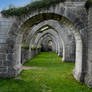 Cistercian abbey ruins