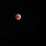 Blood Moon