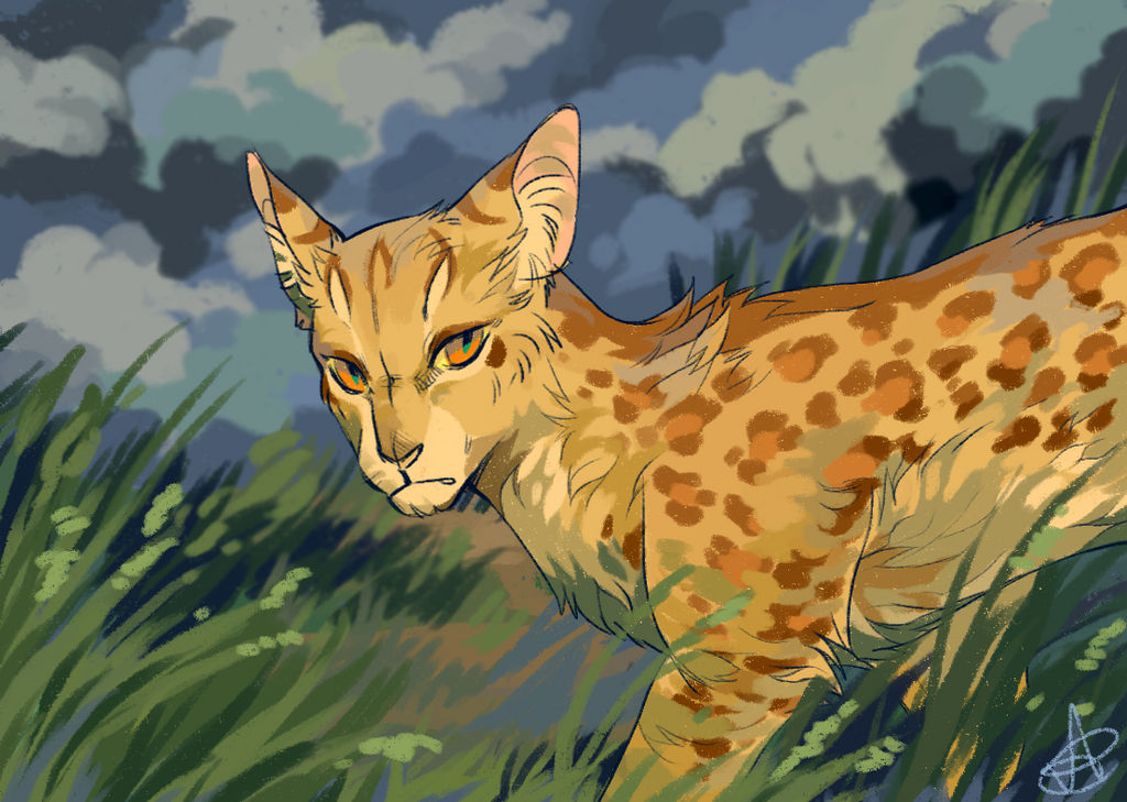 Дат коты воители. Коты Воители пятнистая звезда. Leopardstar коты Воители. Коты Воители пятпятнистая звезда. Коты Воители Оцелотка.