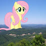 Fluttershy visiting Kentucky