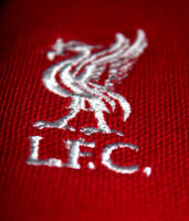 Liverbird On My Chest