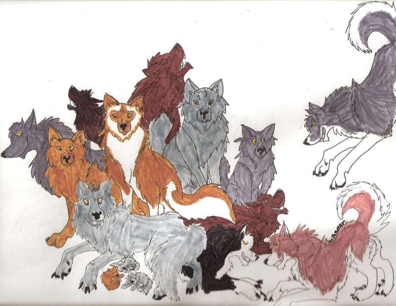 Wolf Pack by jasper899 on DeviantArt
