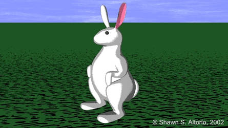 Bob the Bunny