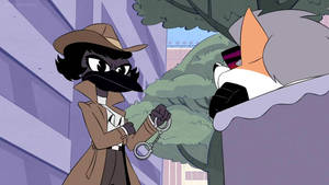 Dr Akita 59