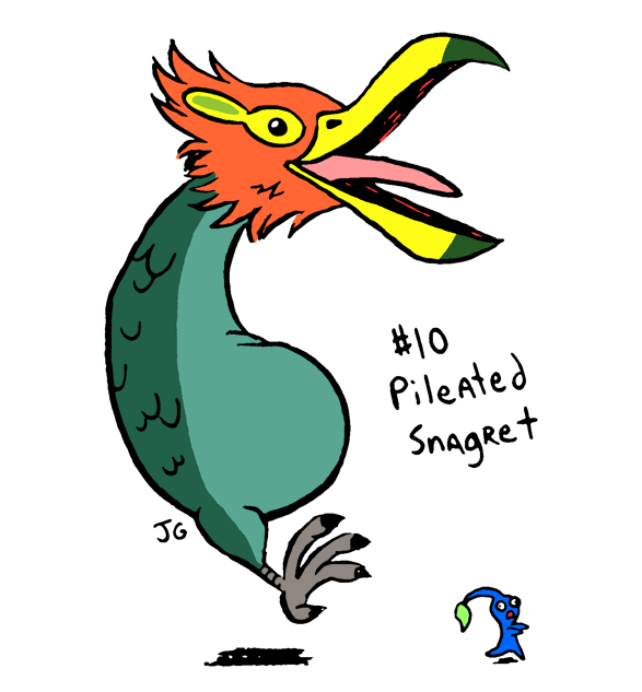 VG Bosses 10: Pileated Snagret